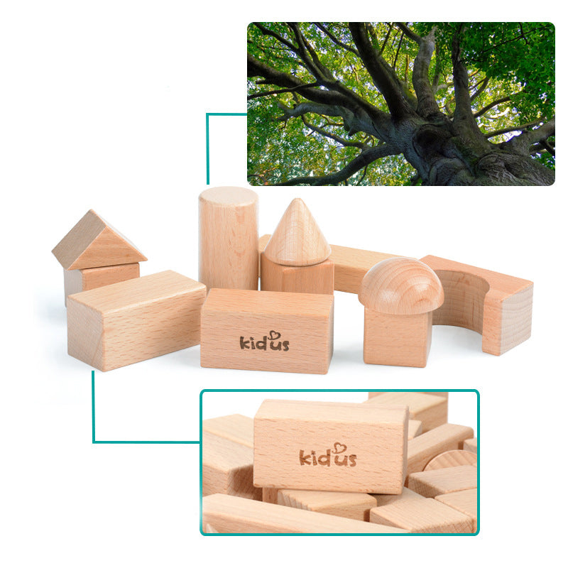 Building Blocks to Build Toys