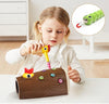 Montessori Toys for 2 Year Old - Magnetic Bird Feeding Games