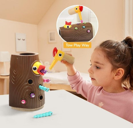 Montessori Toys for 2 Year Old - Magnetic Bird Feeding Games