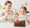 Montessori Toys for 2 Year Old - Magnetic Bird Feeding Games