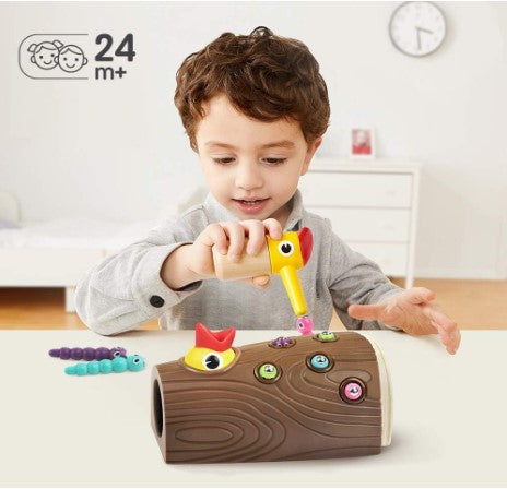 Montessori Toys for 2 Year Old - Magnetic Bird Feeding Games